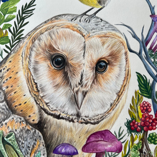 Owls Portrait ORIGINAL Gouache and Colour Pencil Painting - SALE