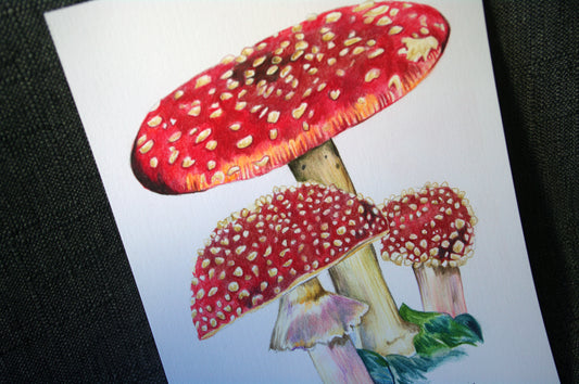 Mini Original - Mushrooms