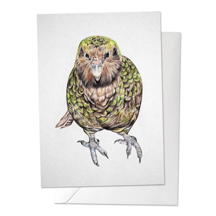 Kakapo Bird Print