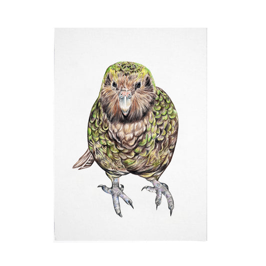 Kakapo Bird Print