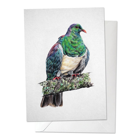 Kereru/ Wood Pigeon Bird Print
