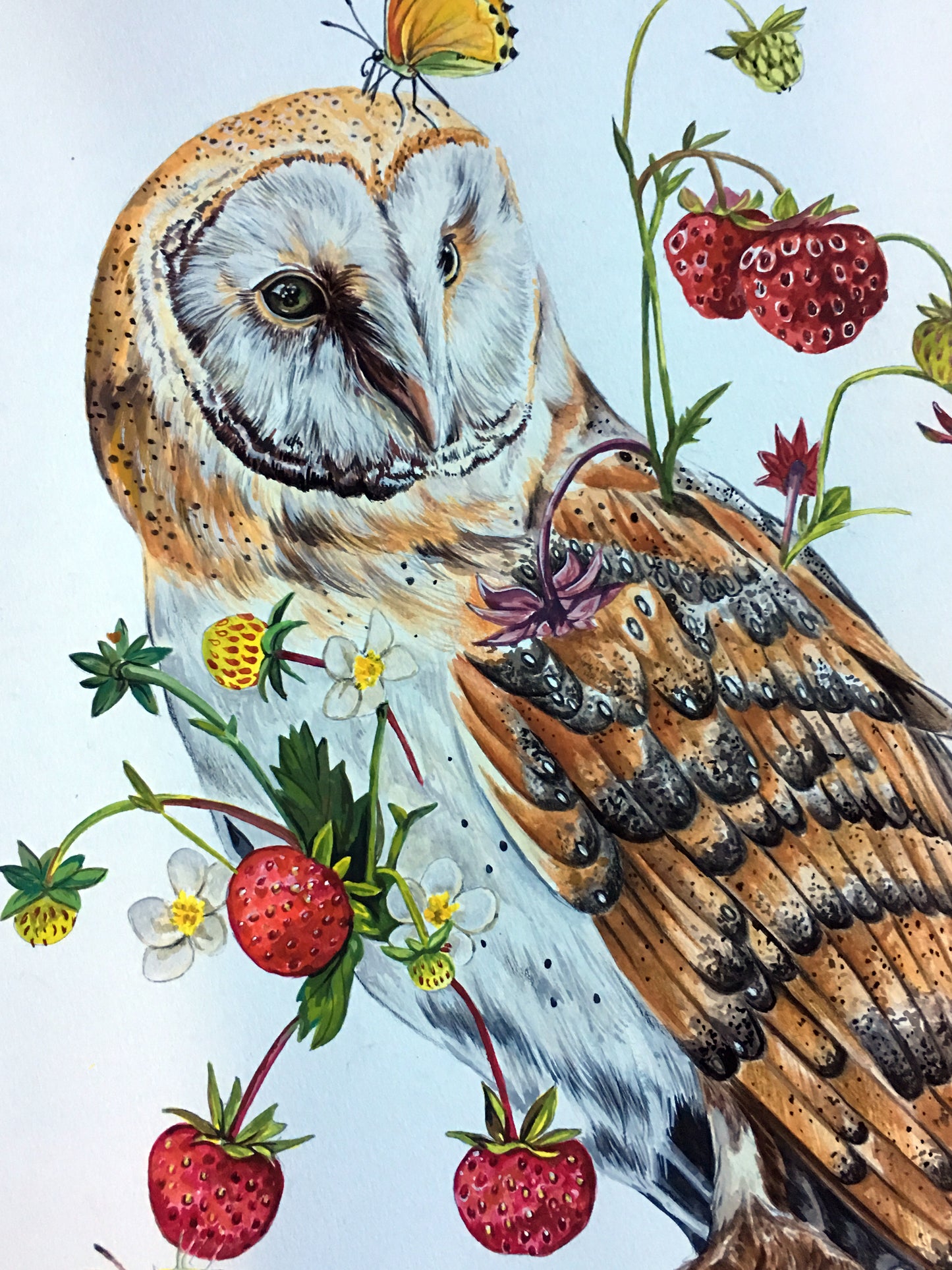 Wild Owl ORIGINAL Gouache Painting - SALE