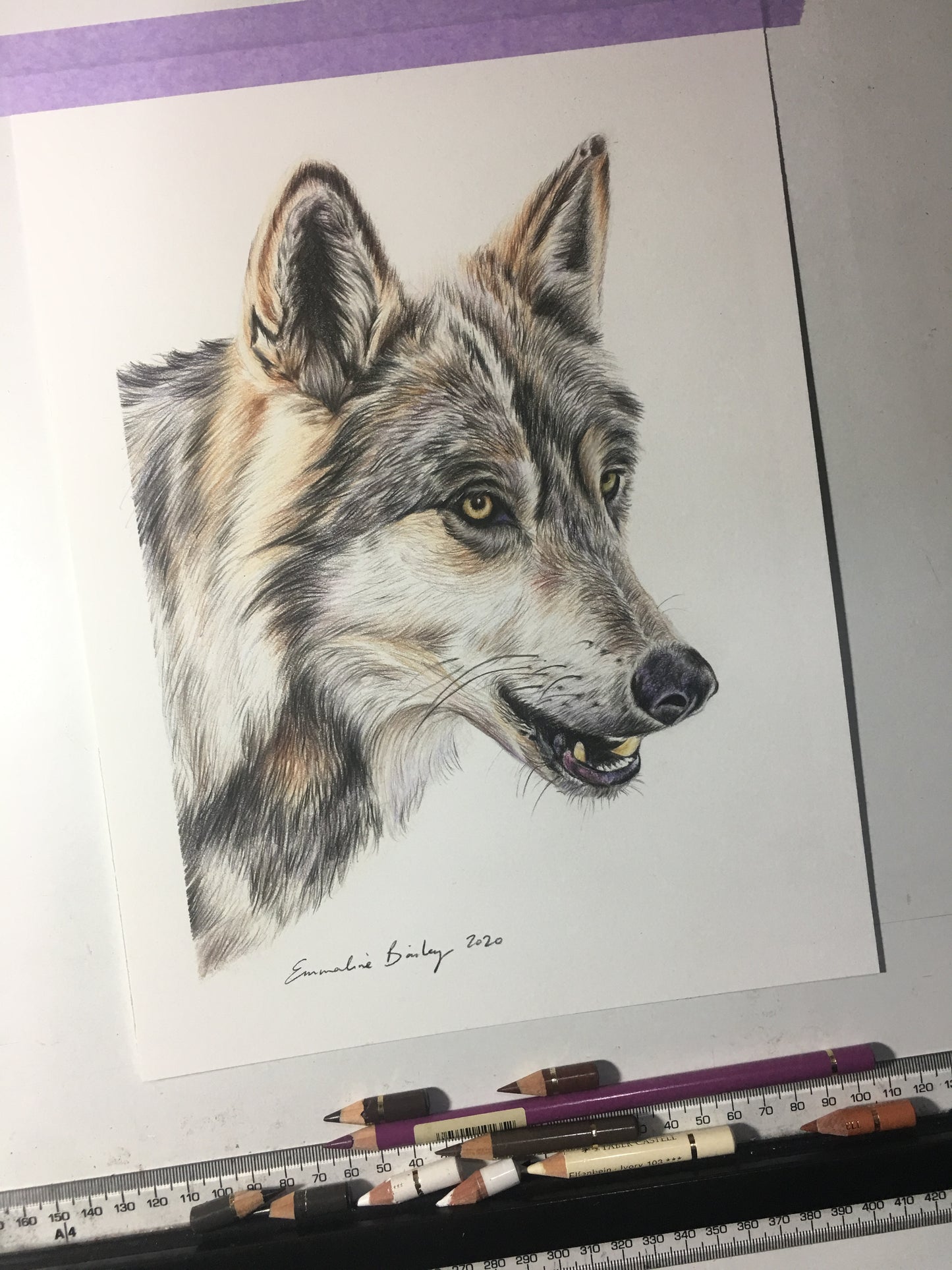 ORIGINAL Wolf Drawing