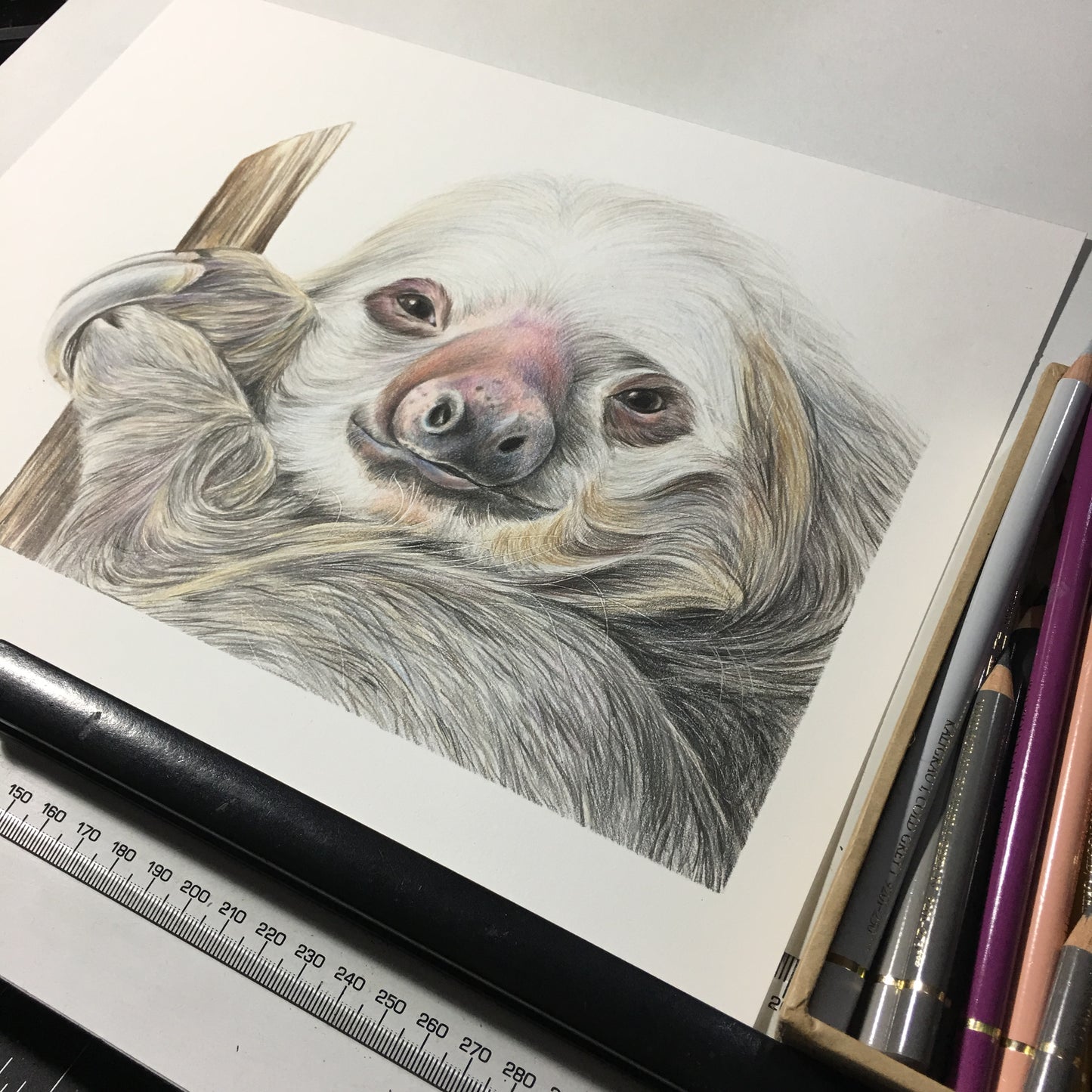 ORIGINAL Sloth Drawing