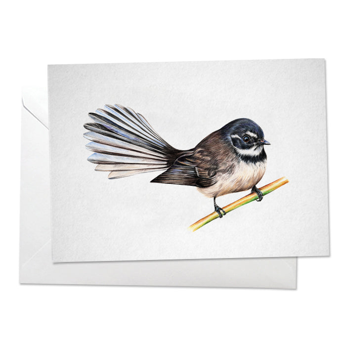 Piwakawaka/Fantail Bird Print