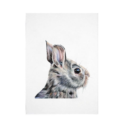 Rabbit Print