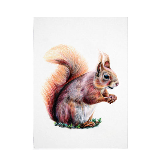 Squirrel Print