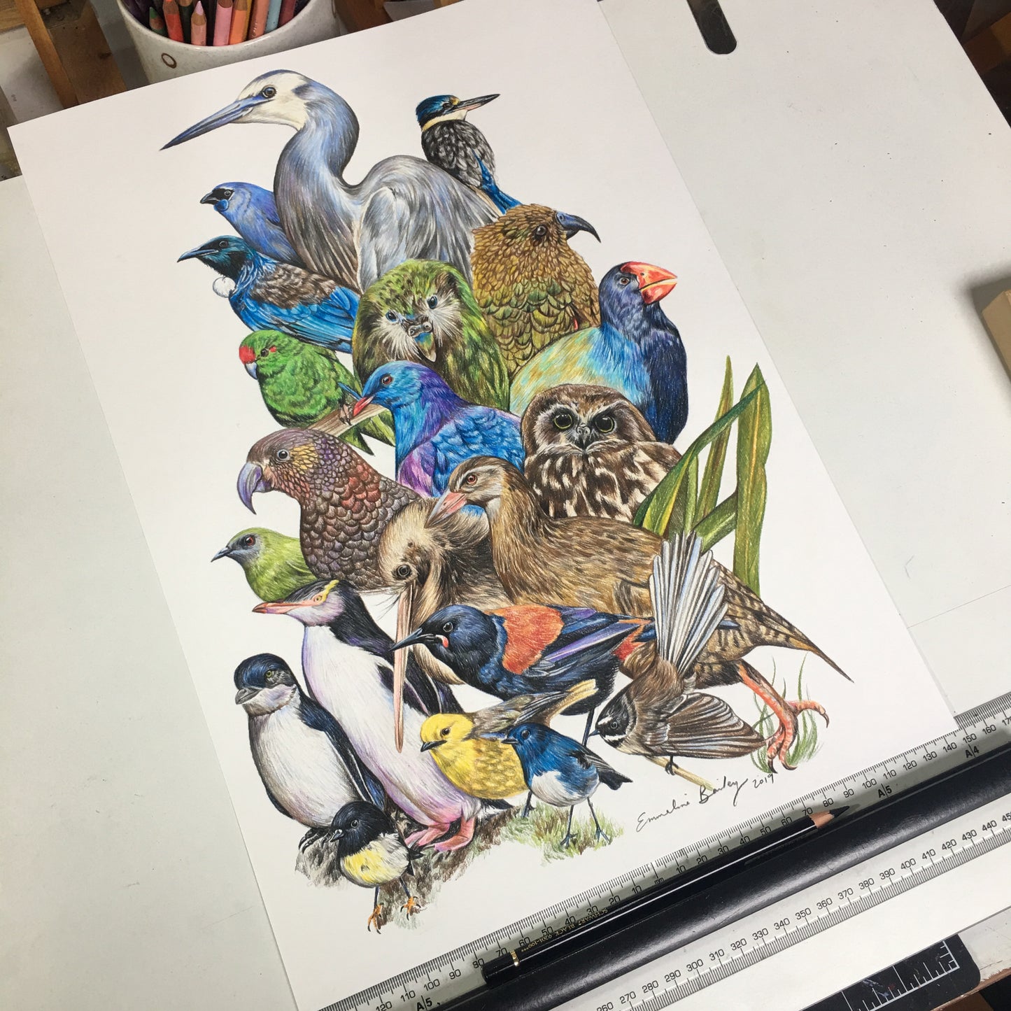 “Perchin” NZ Birds Print