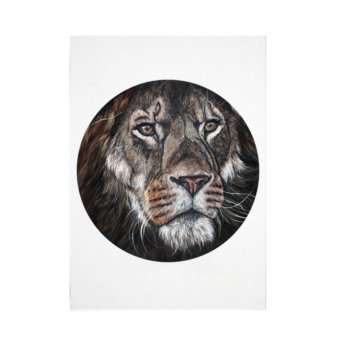 Male Lion Print