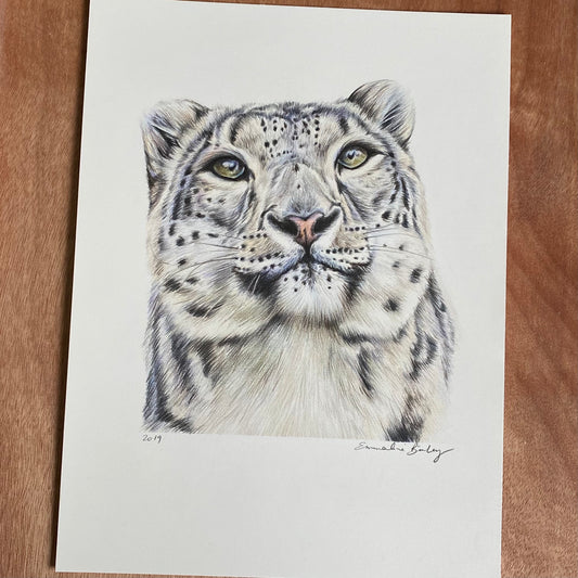 ORIGINAL Snow Leopard Drawing
