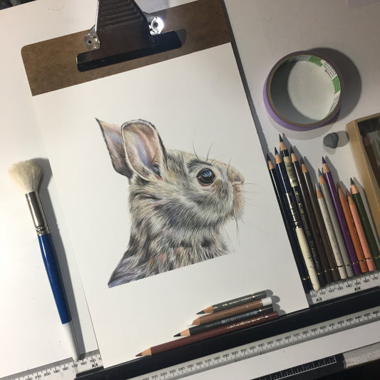 ORIGINAL Rabbit Drawing