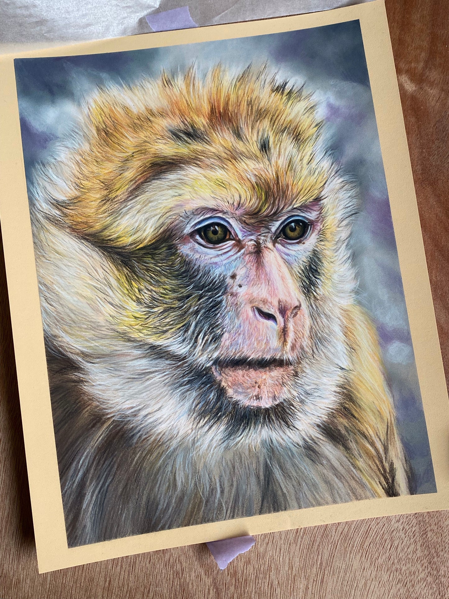 ORIGINAL Monkey Portrait in Pastels