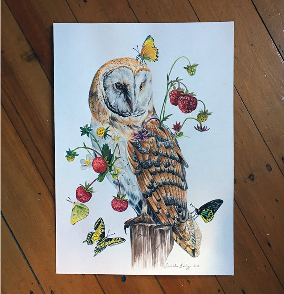 Wild Owl ORIGINAL Gouache Painting - SALE